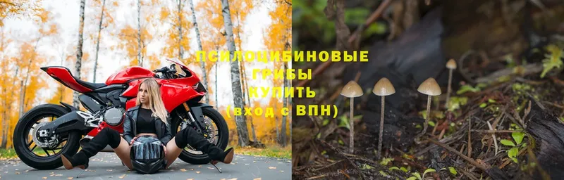 Галлюциногенные грибы MAGIC MUSHROOMS  Ленск 